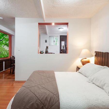 Suite 5A, Altavista, Garden House, Welcome To San Angel مدينة مكسيكو المظهر الخارجي الصورة