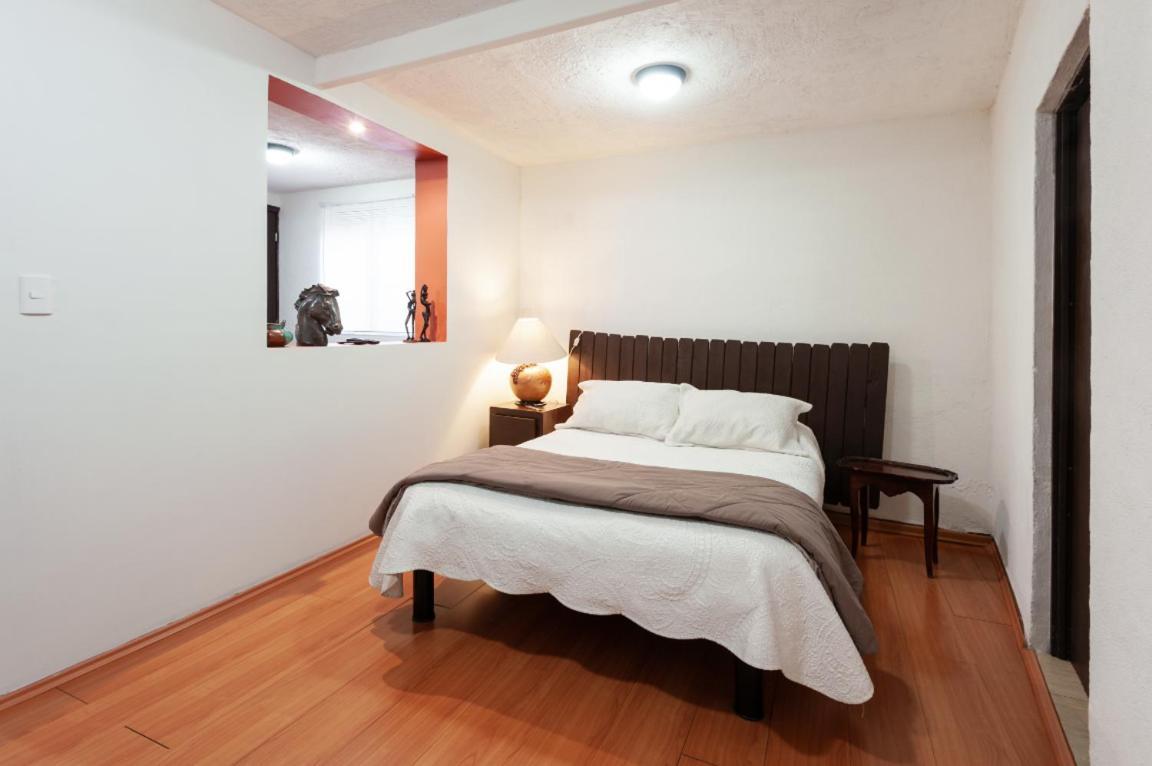 Suite 5A, Altavista, Garden House, Welcome To San Angel مدينة مكسيكو المظهر الخارجي الصورة