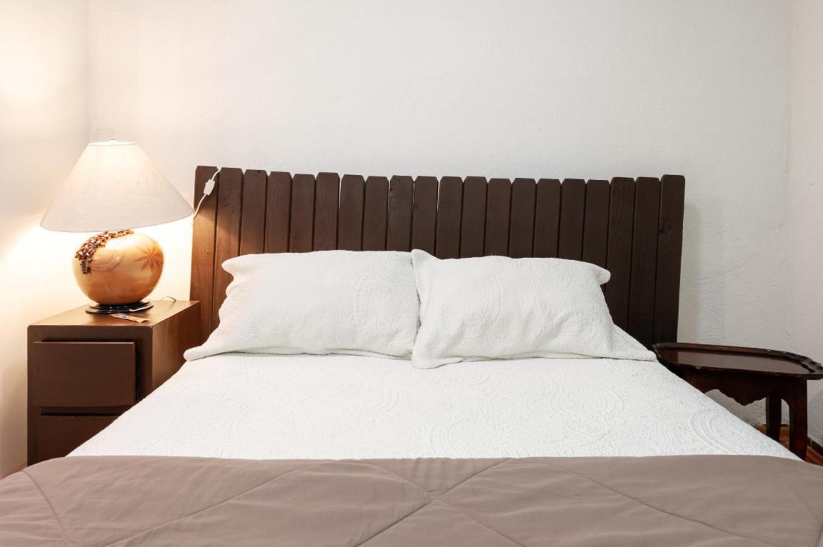 Suite 5A, Altavista, Garden House, Welcome To San Angel مدينة مكسيكو المظهر الخارجي الصورة