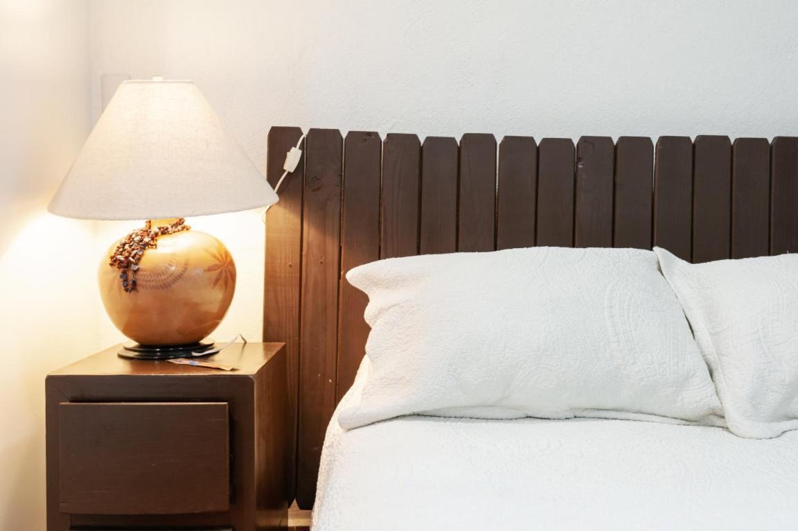 Suite 5A, Altavista, Garden House, Welcome To San Angel مدينة مكسيكو المظهر الخارجي الصورة