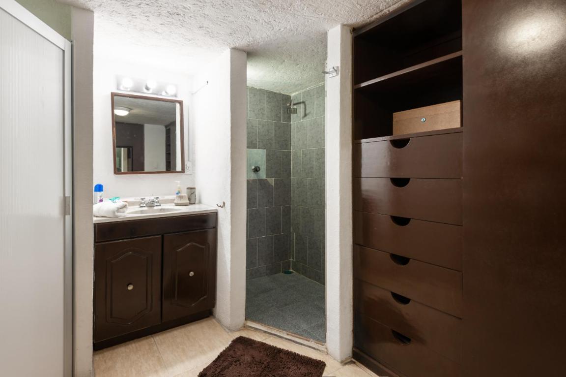 Suite 5A, Altavista, Garden House, Welcome To San Angel مدينة مكسيكو المظهر الخارجي الصورة