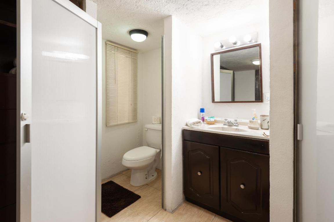 Suite 5A, Altavista, Garden House, Welcome To San Angel مدينة مكسيكو المظهر الخارجي الصورة