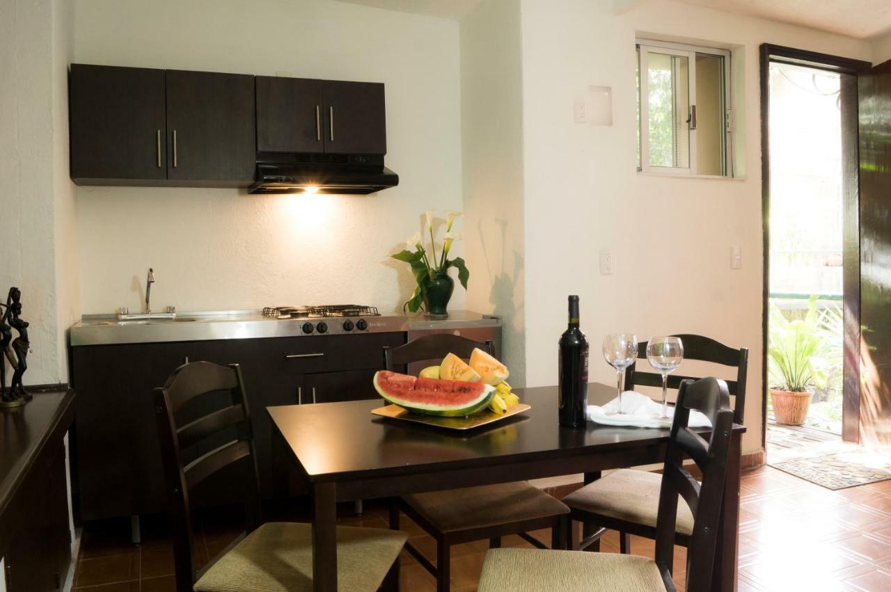 Suite 5A, Altavista, Garden House, Welcome To San Angel مدينة مكسيكو المظهر الخارجي الصورة