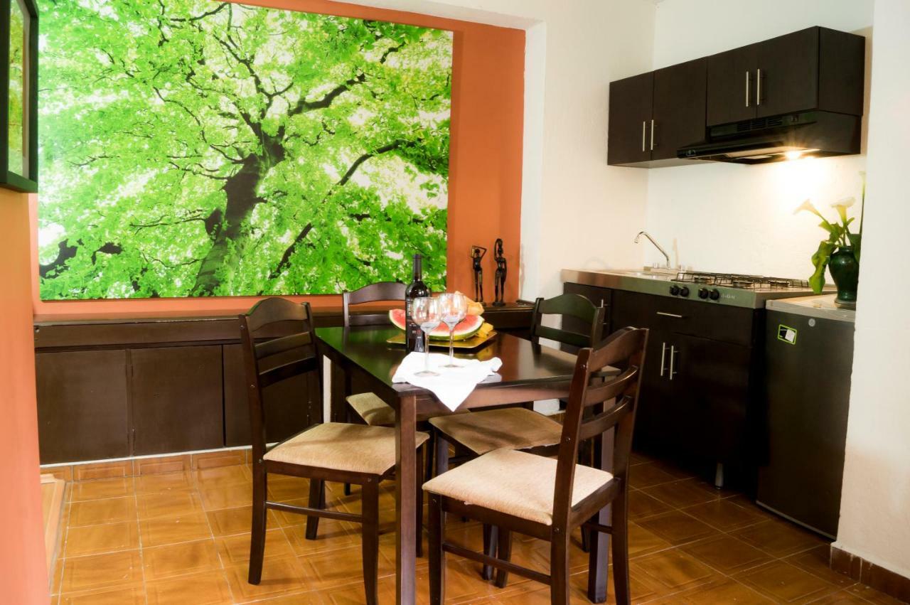 Suite 5A, Altavista, Garden House, Welcome To San Angel مدينة مكسيكو المظهر الخارجي الصورة