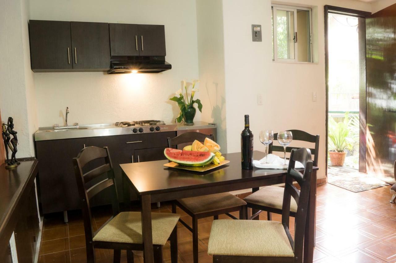 Suite 5A, Altavista, Garden House, Welcome To San Angel مدينة مكسيكو المظهر الخارجي الصورة