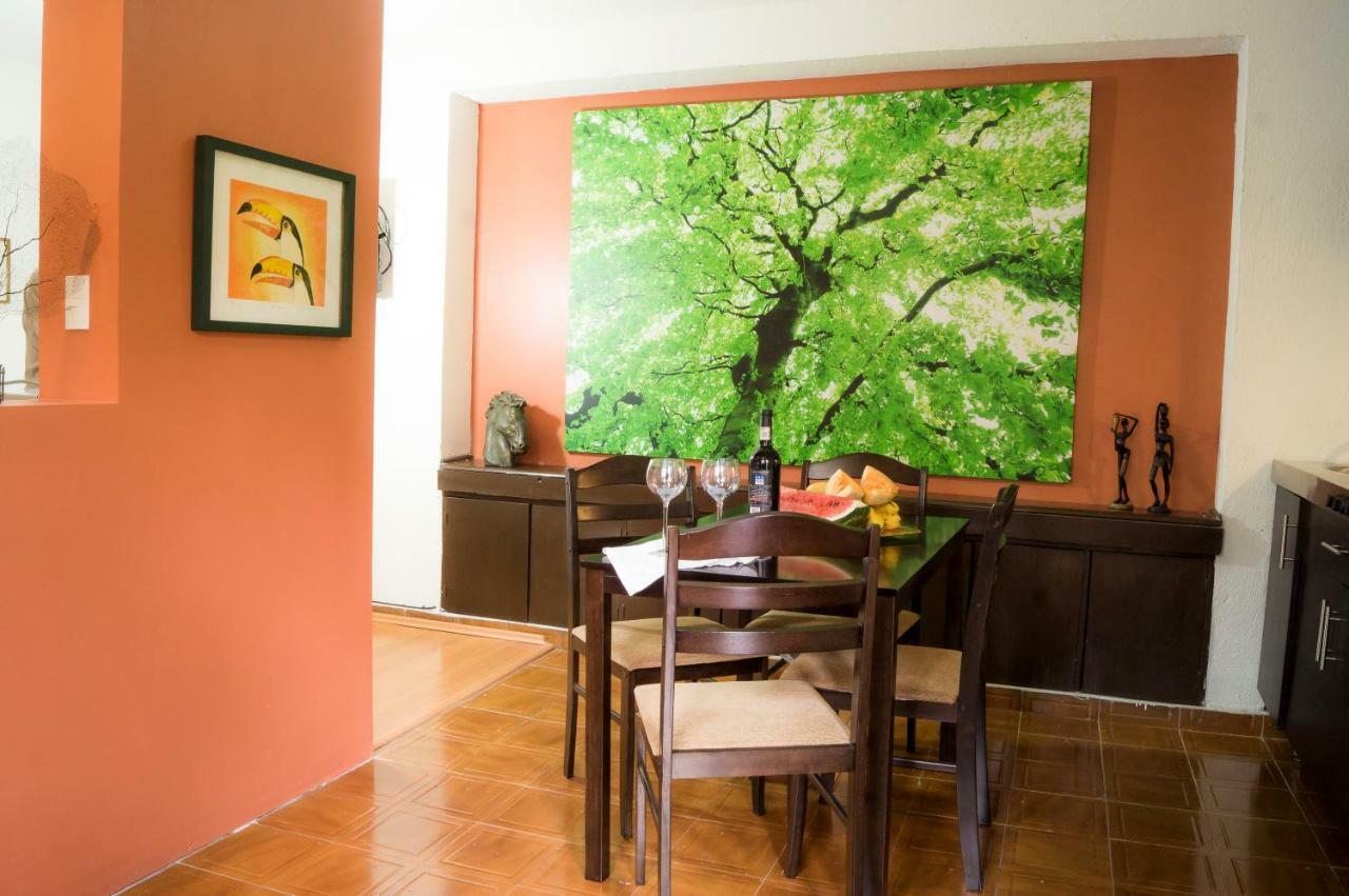 Suite 5A, Altavista, Garden House, Welcome To San Angel مدينة مكسيكو المظهر الخارجي الصورة